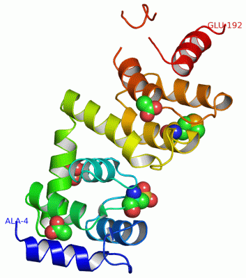 Image Asym./Biol. Unit - manually