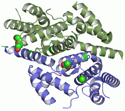 Image Asym./Biol. Unit - manually