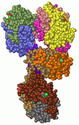 Image Biol.Unit 1 - manually