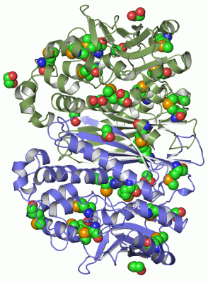 Image Asym./Biol. Unit - manually