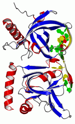 Image Asym./Biol. Unit - manually