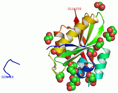 Image Asym./Biol. Unit - manually