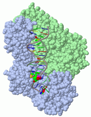 Image Biol.Unit 1 - manually
