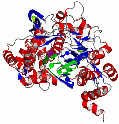 Image Asym./Biol. Unit - manually