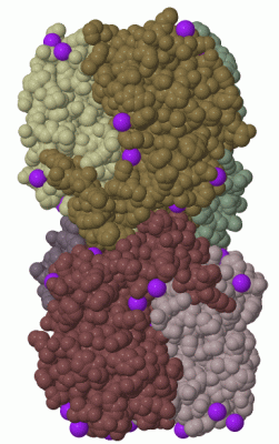 Image Biol.Unit 1 - manually