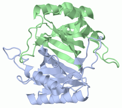 Image Biol.Unit 1 - manually