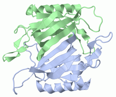 Image Biol.Unit 1 - manually