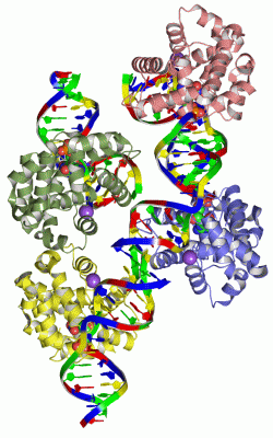 Image Biol.Unit 1 - manually