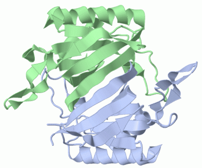 Image Biol.Unit 1 - manually