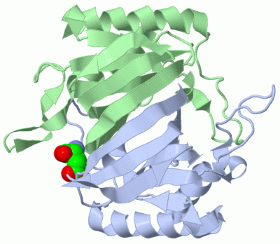 Image Biol.Unit 1 - manually