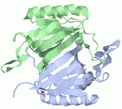 Image Biol.Unit 1 - manually