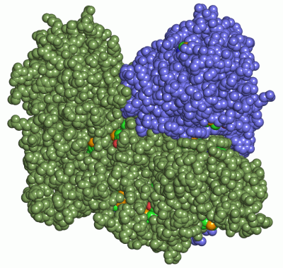 Image Asym./Biol. Unit - manually