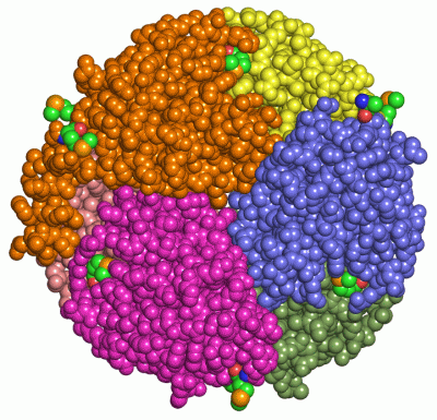 Image Asym./Biol. Unit - manually