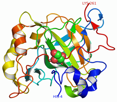 Image Asym./Biol. Unit - manually