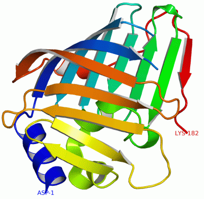 Image Asym./Biol. Unit - manually