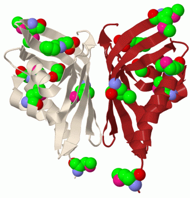 Image Biol.Unit 1 - manually