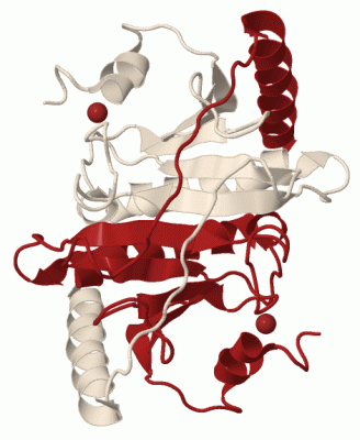 Image Biol.Unit 1 - manually