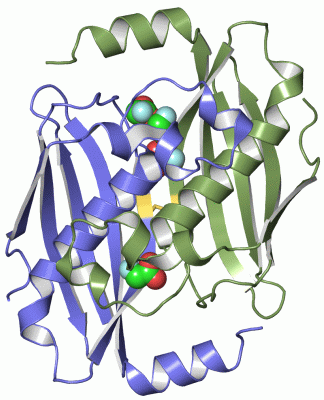 Image Asym./Biol. Unit - manually