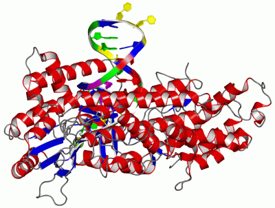 Image Asym./Biol. Unit - manually