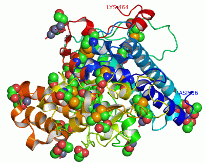 Image Asym./Biol. Unit - manually