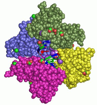 Image Asym./Biol. Unit - manually