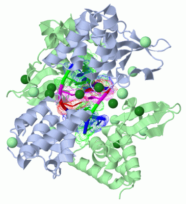 Image Biol.Unit 1 - manually