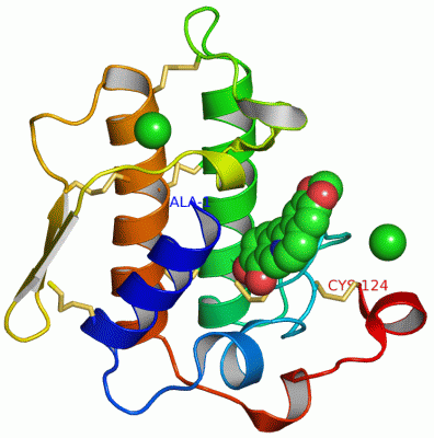 Image Asym./Biol. Unit - manually