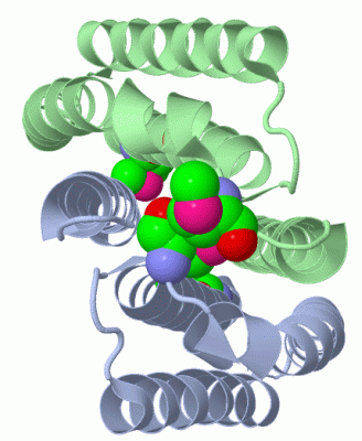 Image Biol.Unit 1 - manually