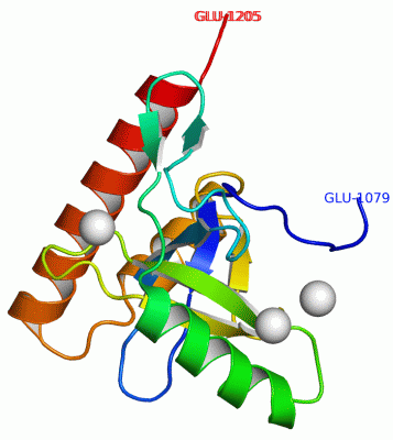 Image Asym./Biol. Unit - manually