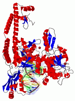 Image Biol.Unit 1 - manually