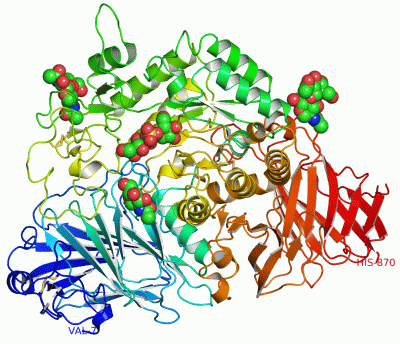 Image Asym./Biol. Unit - manually