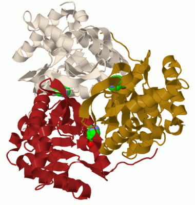 Image Biol.Unit 1 - manually