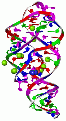 Image Asym./Biol. Unit - manually