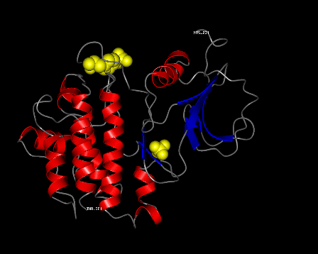 Image Asym./Biol. Unit - manually