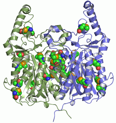 Image Asym./Biol. Unit - manually