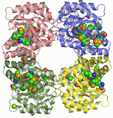 Image Asym./Biol. Unit - manually