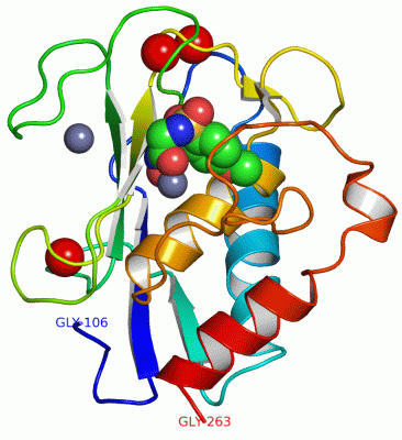 Image Asym./Biol. Unit - manually