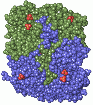 Image Asym./Biol. Unit - manually