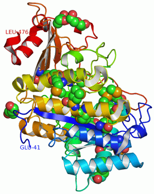 Image Asym./Biol. Unit - manually