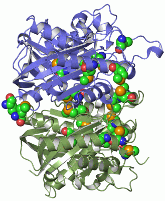 Image Asym./Biol. Unit - manually