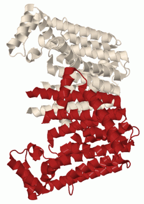 Image Biol.Unit 1 - manually