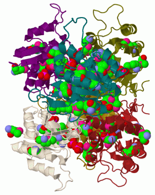 Image Biol.Unit 1 - manually