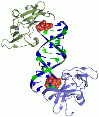 Image Asym./Biol. Unit - manually