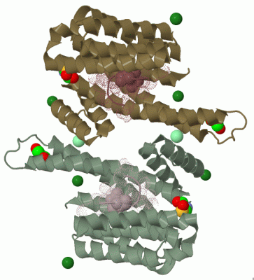 Image Biol.Unit 1 - manually