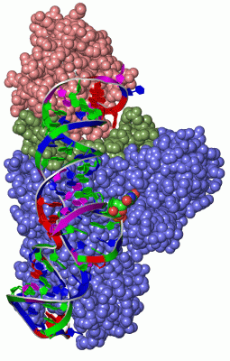 Image Asym./Biol. Unit - manually