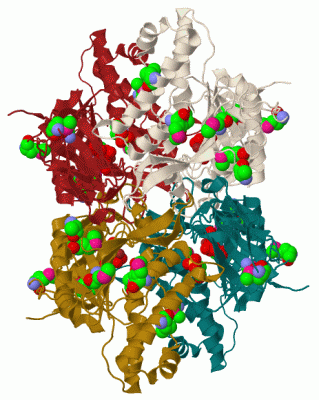 Image Biol.Unit 1 - manually