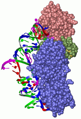 Image Asym./Biol. Unit - manually