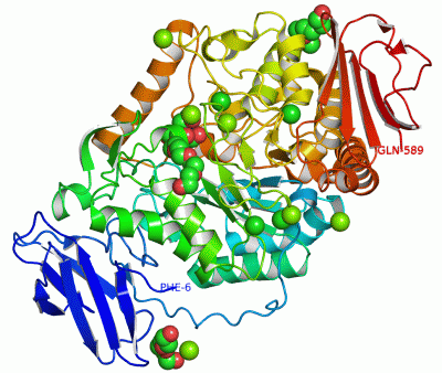 Image Asym./Biol. Unit - manually