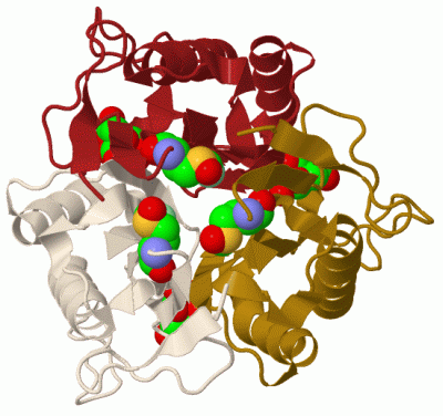 Image Biol.Unit 1 - manually