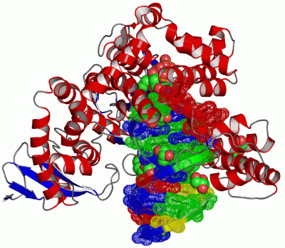 Image Asym./Biol. Unit - manually